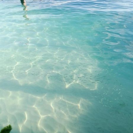 Hidden Island Glamping Isla Mujeres酒店 外观 照片
