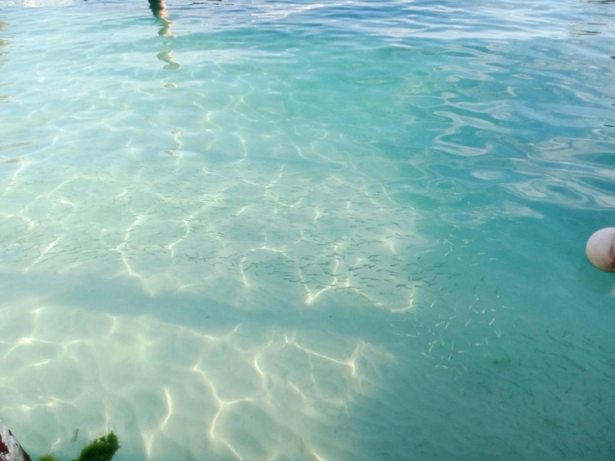 Hidden Island Glamping Isla Mujeres酒店 外观 照片